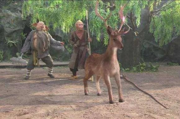 比丘国狐狸精大结局,比丘国妖怪最后怎么了