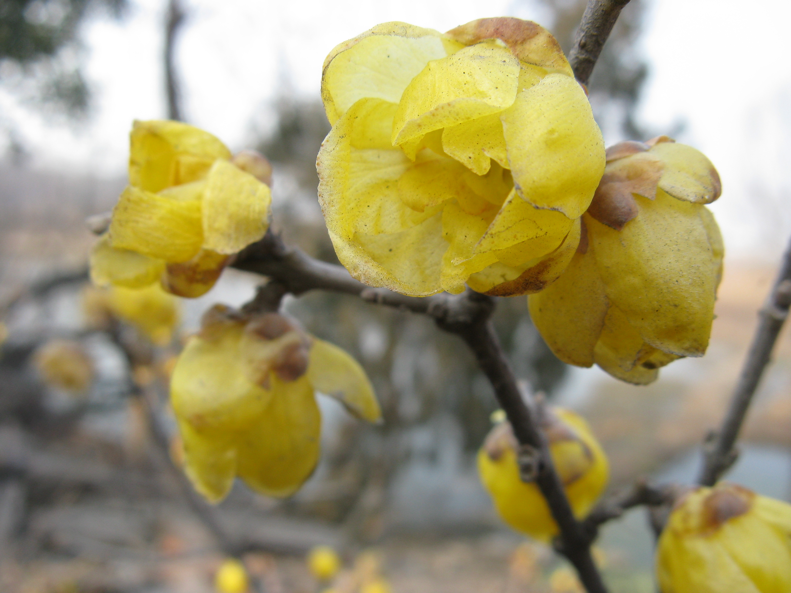 伦仔的故事33,伦仔的故事