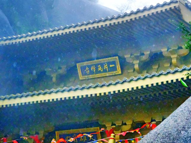 福鼎旅游数据,福鼎纪录片