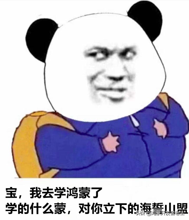 程序员常用十款开发工具推荐,程序员快速开发软件