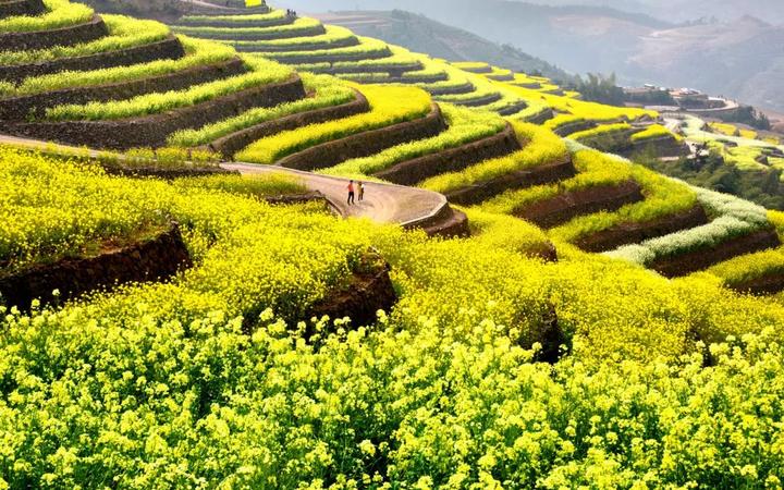 72条自驾游路线推荐,诗与远方的房车自驾游