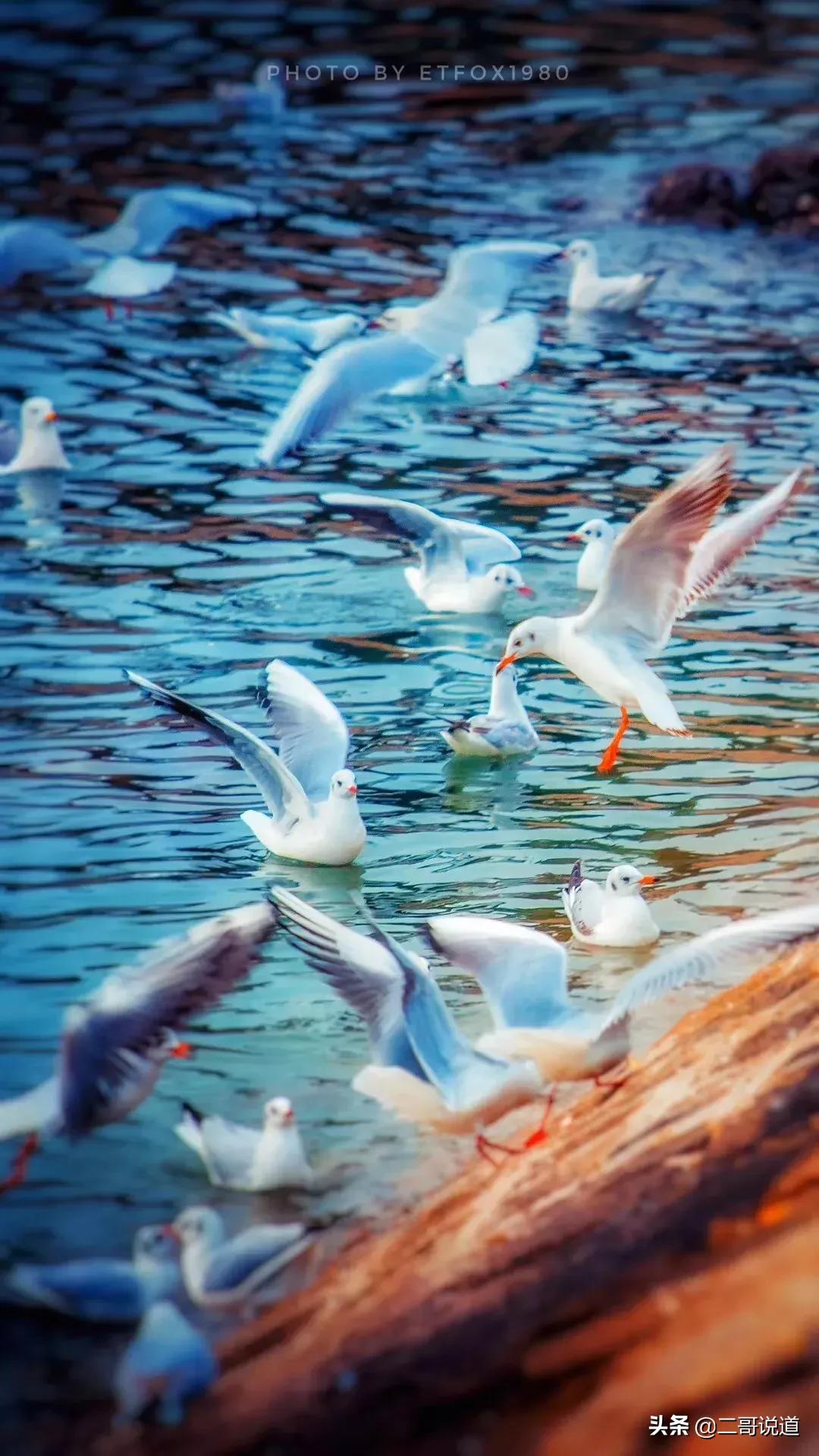 春日青岛游玩攻略,春日出游青岛