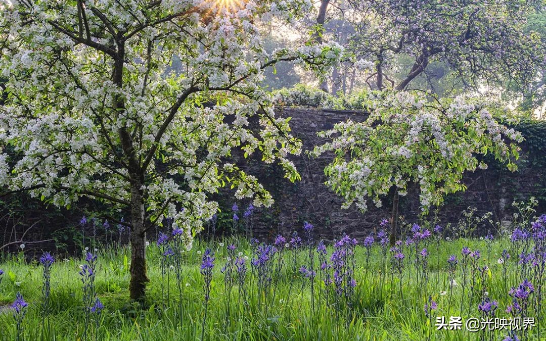 国际花园摄影大赛图片,那些美丽的花园
