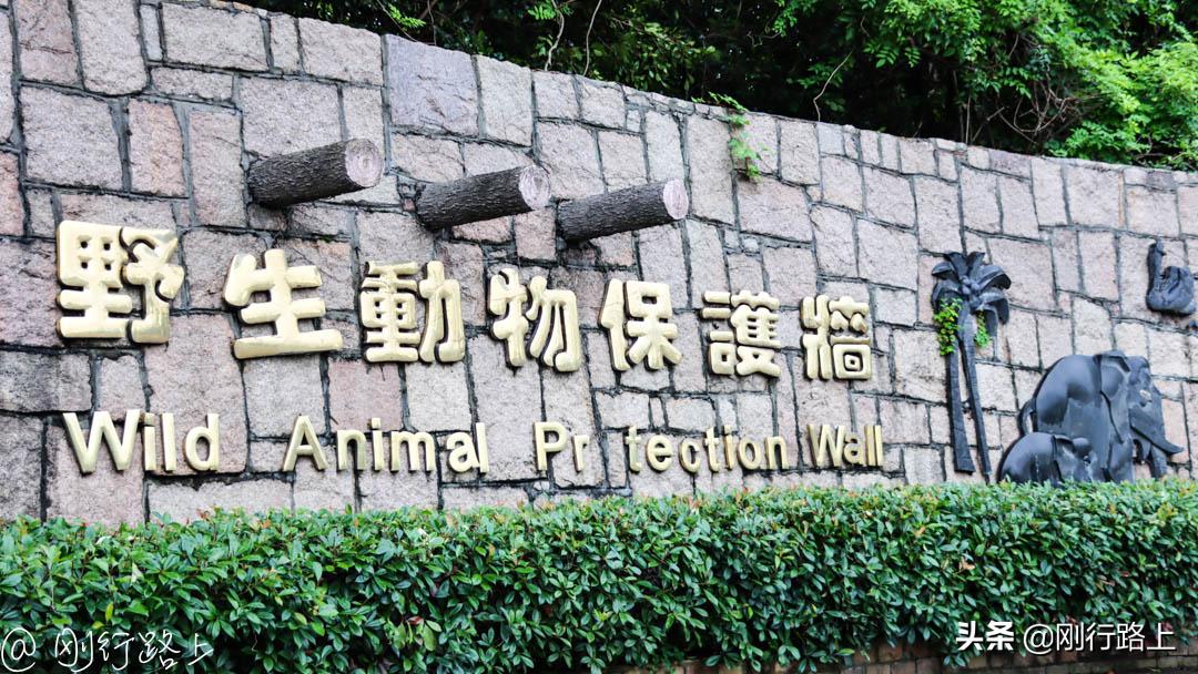 上海野生动物园可以自驾进去吗,从上海野生动物园怎样去上海南站