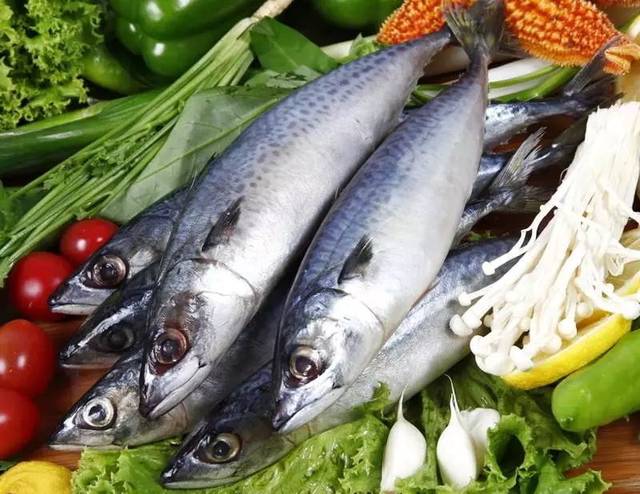 夏天吃什么海鱼最好吃,哪些海鱼好吃又便宜又好养