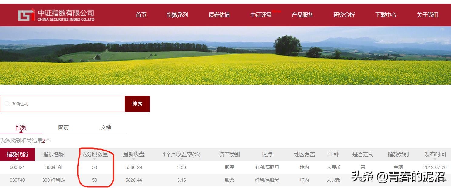 沪深300和红利etf哪个看重分红,红利低波100etf分红怎么这么高