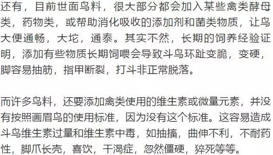 画眉饲料中的小米怎么样处理,画眉除了饲料可以喂什么料