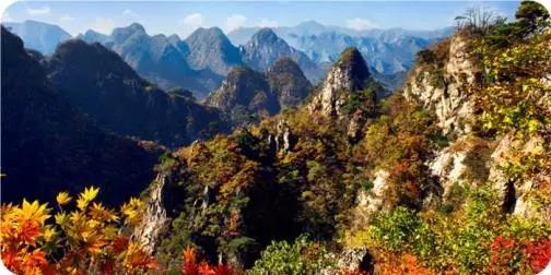 大连枫叶最佳观赏时间,大连枫叶红视频