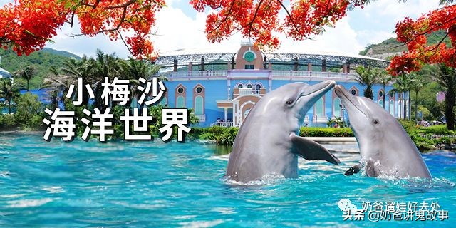 深圳市生日当天有什么福利,深圳生日福利攻略免费