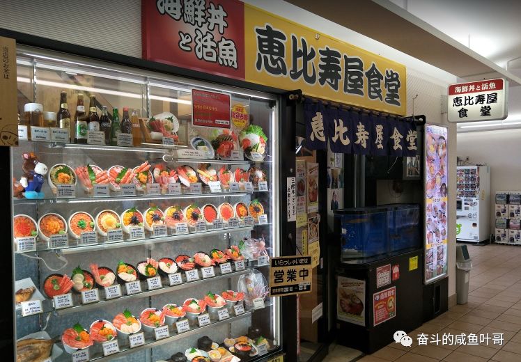 北海道函馆推荐,北海道的夏天