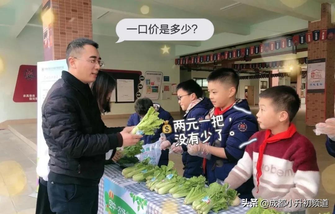 温江嘉祥招生小学升初中,2021年郫都区嘉祥小升初入学条件