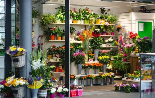 女生如果想创业适合开什么样的店,适合女孩子创业开的十五种店