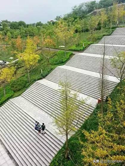 大学选不对专业就是白读,大学选不进科的后果