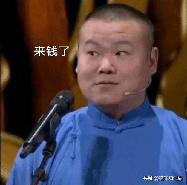 给父母养狗养什么样的,给家里养猫的好处