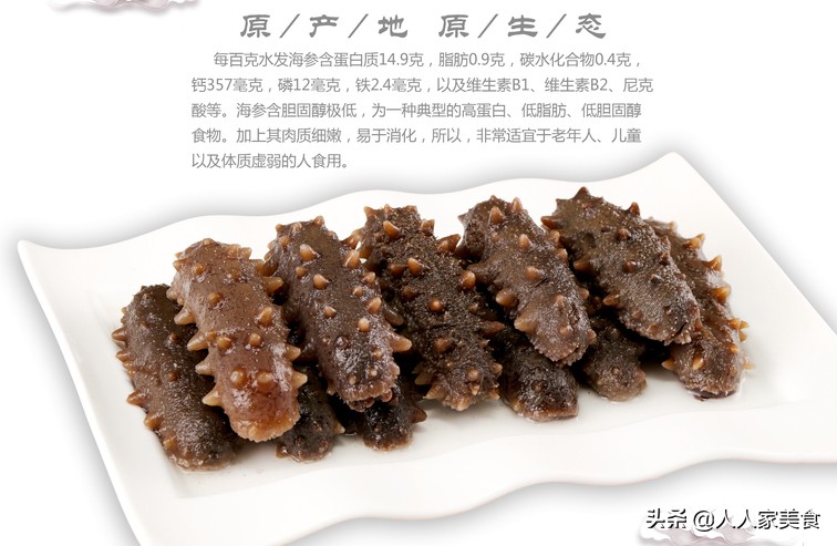 海参行业内幕,新鲜海参内幕深度揭秘