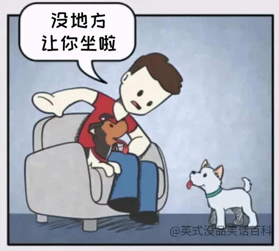 铲屎官和狗子的漫画,铲屎官和狗子们漫画