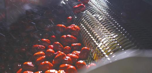 正宗好想你即食红枣,好想你红枣一件啥价