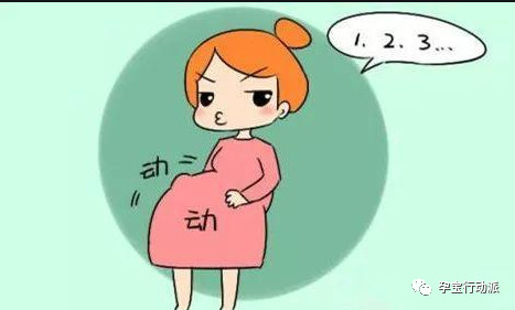 孕期周刊第二十九周,孕期周刊第14周