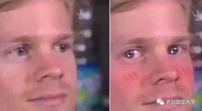 小语种专业那么多到底选哪个,小语种专业大学排名及分数线