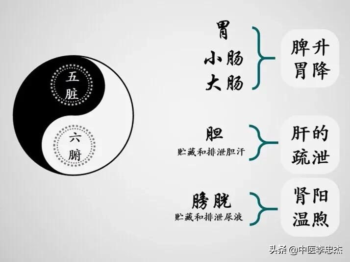 腹部不适口腔溃疡,腹部不适肠鸣屁多