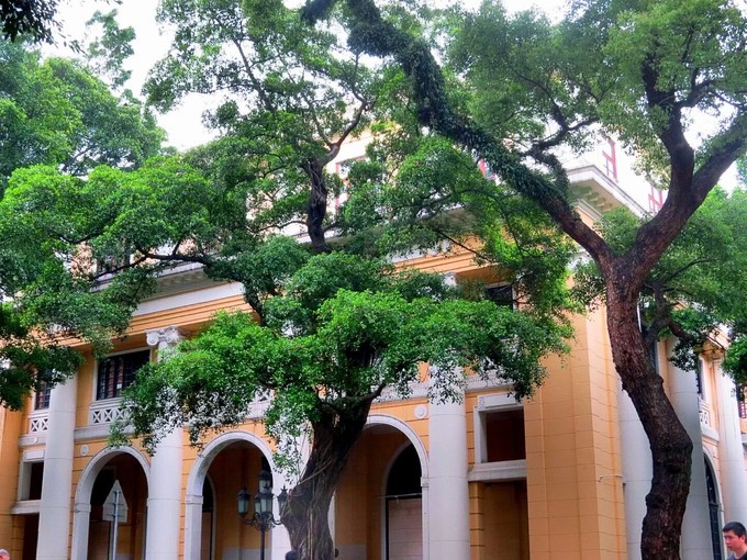 来广州旅行感受老广州生活,广州自由漫游