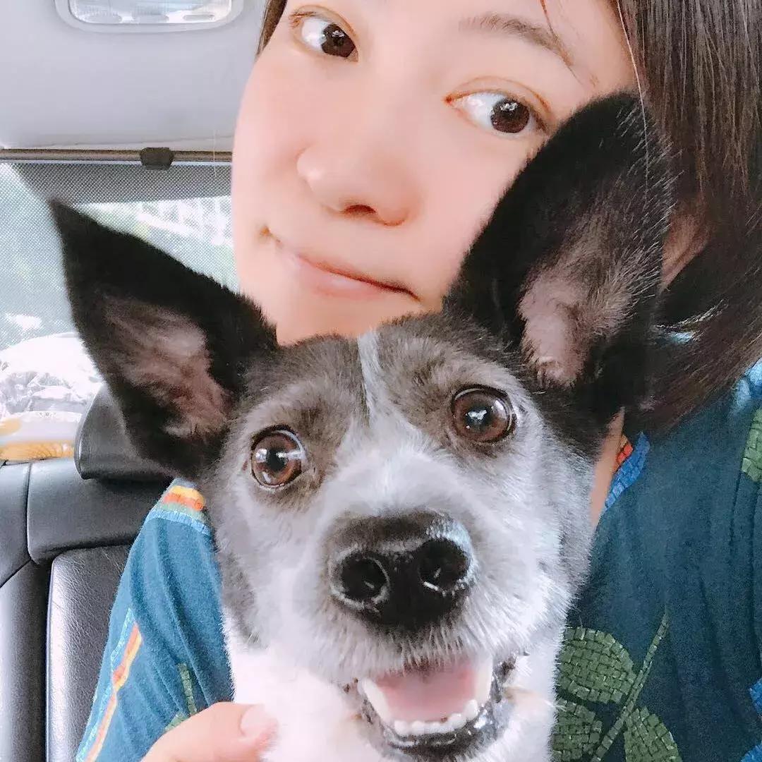 编辑部单品推荐,编辑部美妆