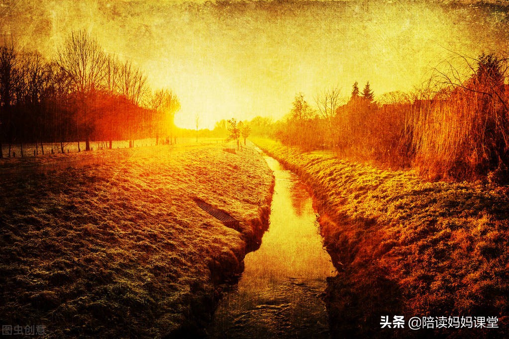 初中语文八上必背,初中八上必背古诗文