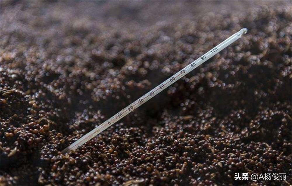 自制酒曲酿酒设备,制作正宗酿酒设备