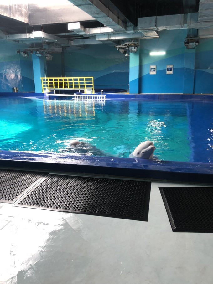 三亚自由行五天最佳攻略,三亚北纬十八度游攻略