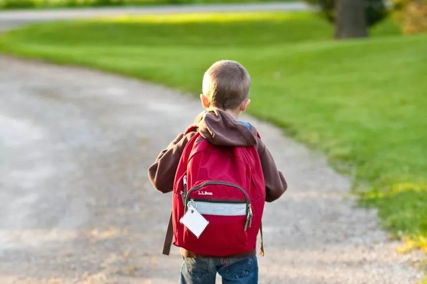 未来30年孩子最需要什么,未来20年孩子会怎么样