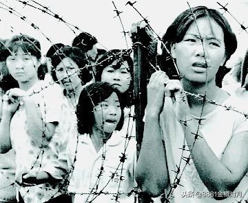 投奔怒海1982国语完整版,投奔怒海视频大全