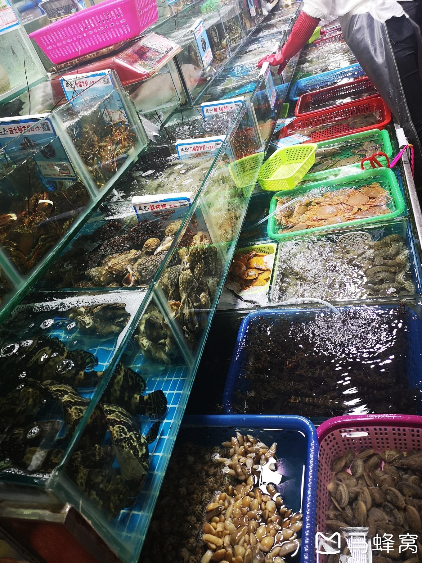 三亚夏天的海和冬天的海,三亚冬天如夏