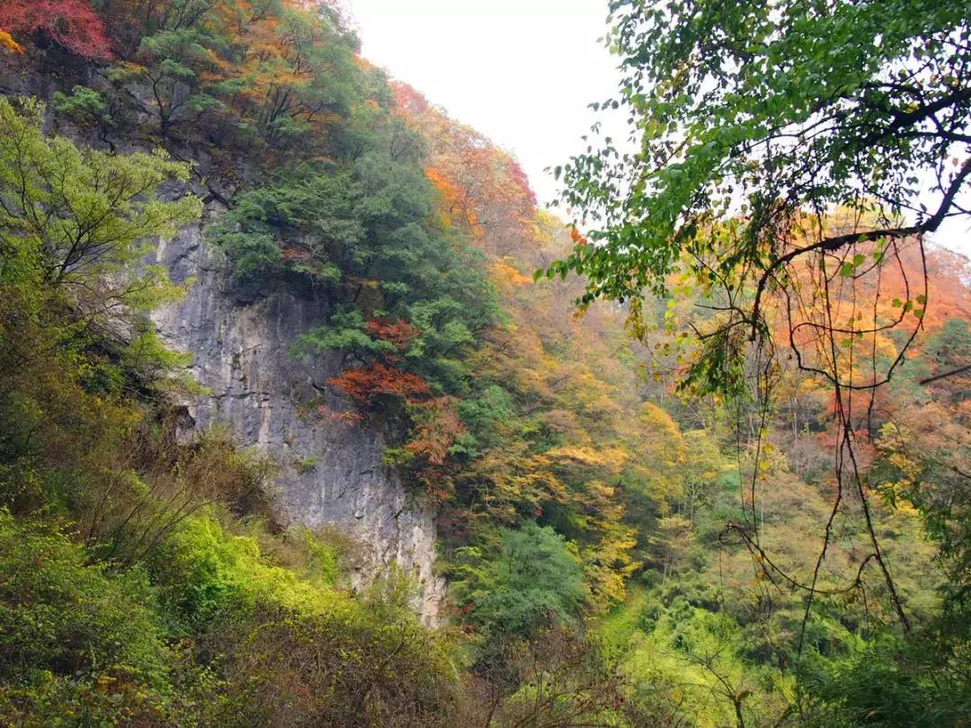 如果有一天累了就回老家到处走走,如果有一天累了就回来吧