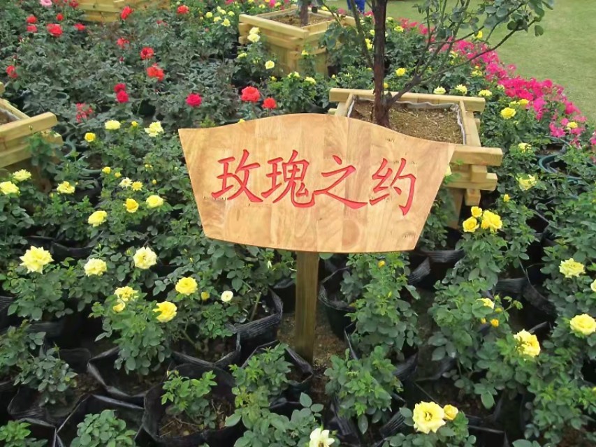 广西南宁青秀山游记,20年前南宁青秀山景点对比图