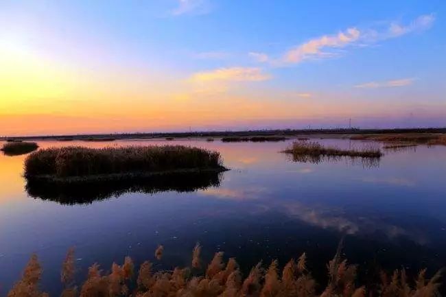 渭南大荔哪里好玩的地方,渭南大荔周边环境优美的地方