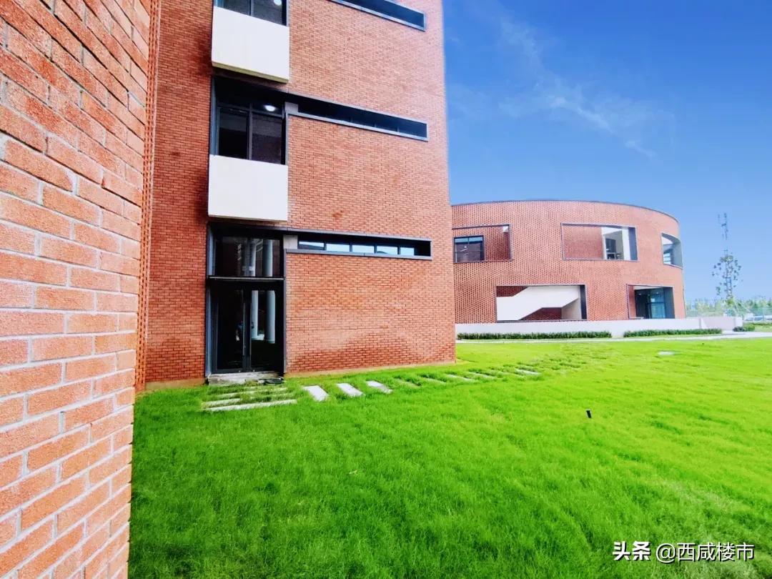 新增的231个学位是什么,5年内新增438万公办学位