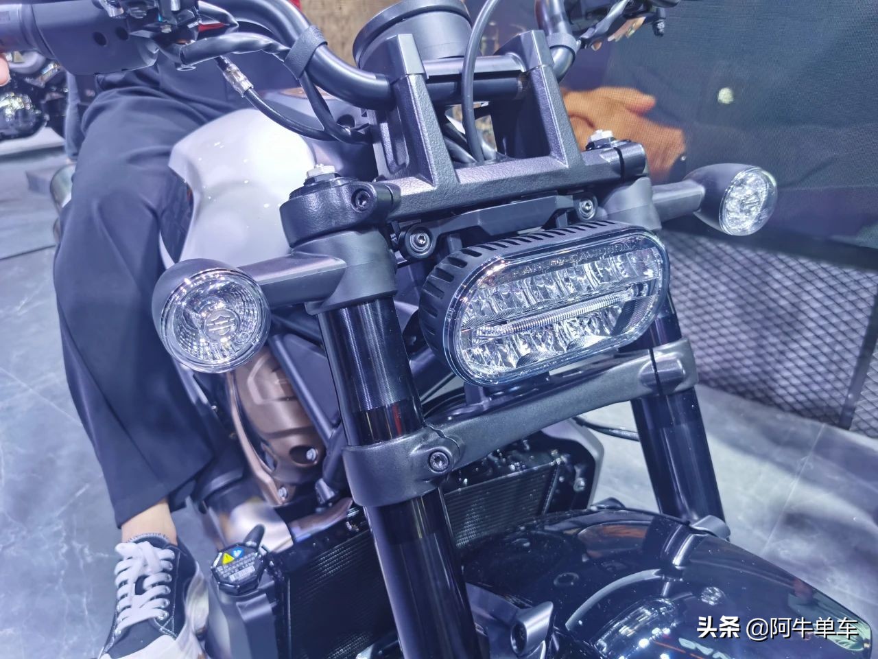 摩博会|哈雷SportsterS正式发售:159800元,就问你香不香