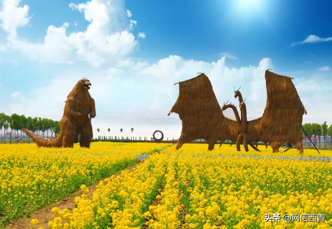 乡野趣民国哪里好玩,乡野户外趣味活动