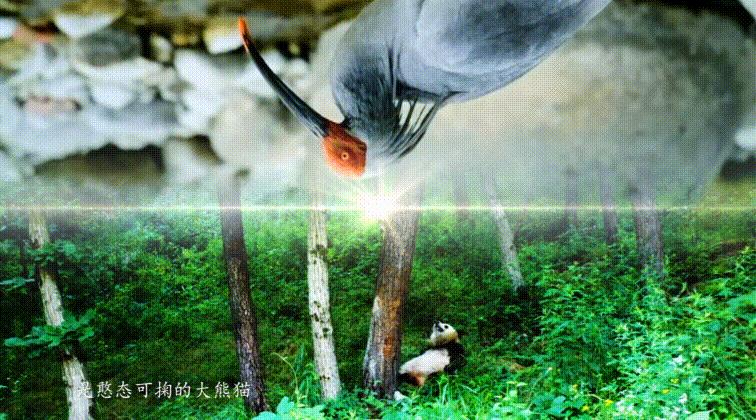 三千里汉江第一城宁强,中国三千里汉江第一城