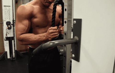 肱二头肌训练动作无器械麒麟臂,大臂内侧肱三头肌怎么练