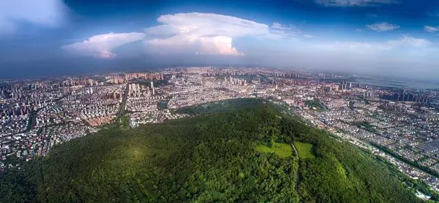 常熟阿诺凭什么做dms的裁判,常熟凭什么房价这么贵