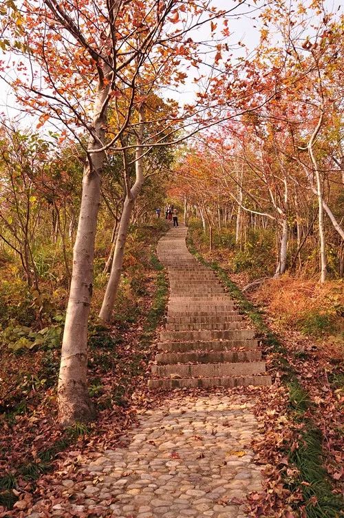 爬完所有雪山就释怀,爬完所有的名山