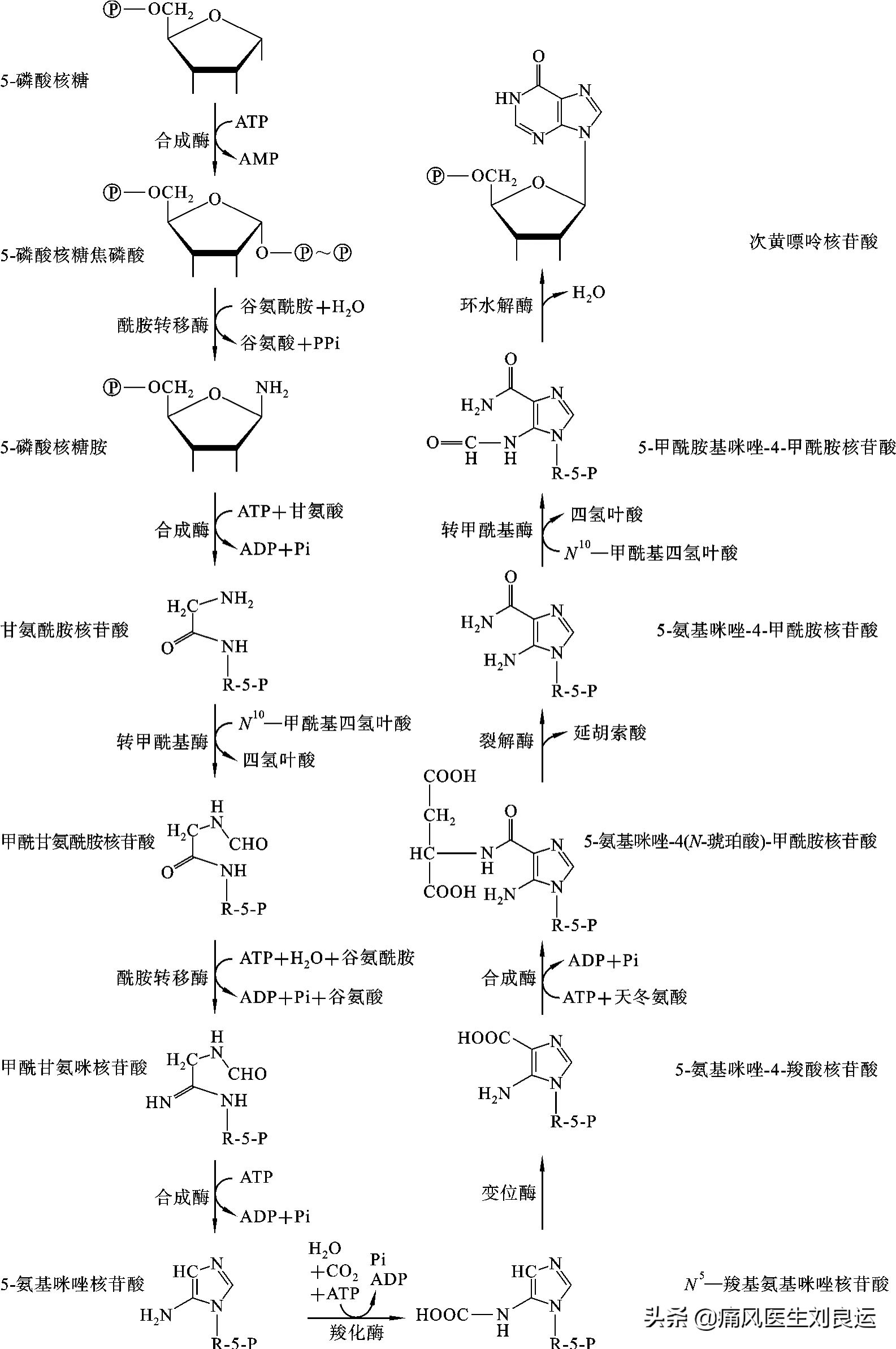 痛风是遗传因素大还是后天因素大,痛风是不是有遗传的因素呀