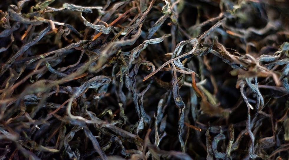 立顿为什么能做好中国茶,立顿和中国茶对比