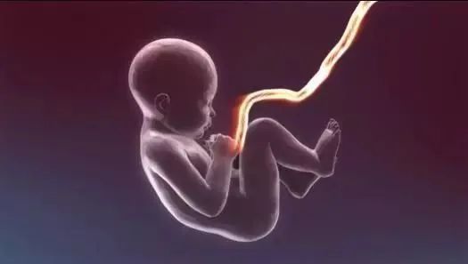 新生儿脐带未脱落发炎流脓,新生儿脐带红肿怎么处理