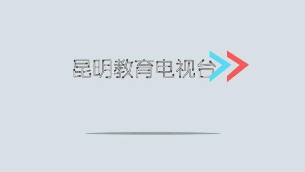 金康园小学足球开幕式,金康园小学篮球比赛