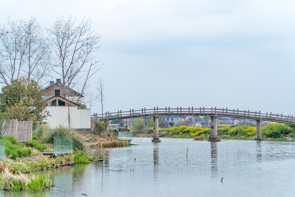 踏春赏花拍美景,踏春赏花逛湖