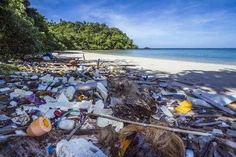 澳洲禁止一次性塑料,一次性塑料用品前景
