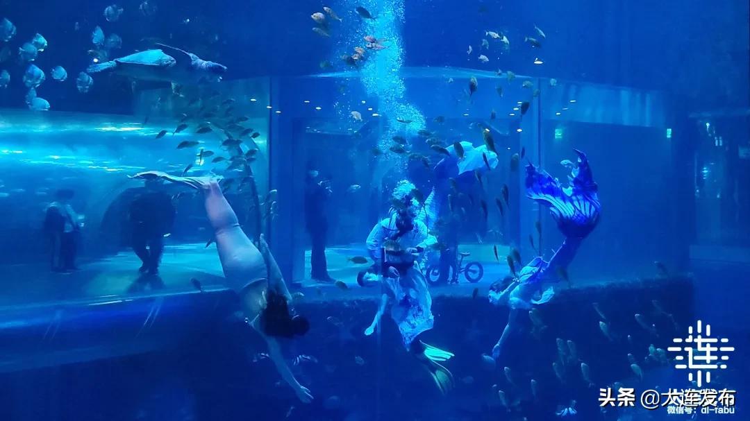 大连旅游景点三天两夜攻略,大连旅游全攻略免费景区