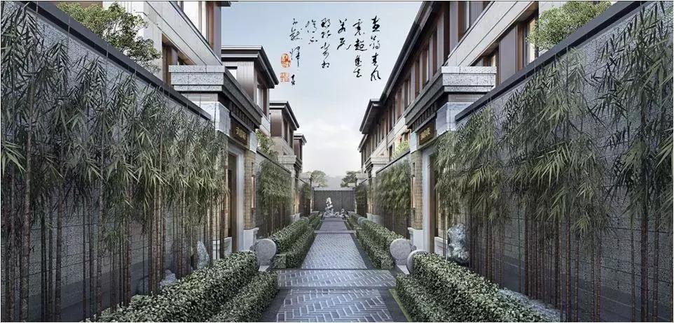 千亩湖公园全景图,公园天幕景观